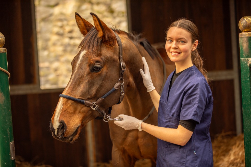 Zoé HOGEDEZ avec un cheval en écurie - dentiste pour chevaux et soins dentaires équins